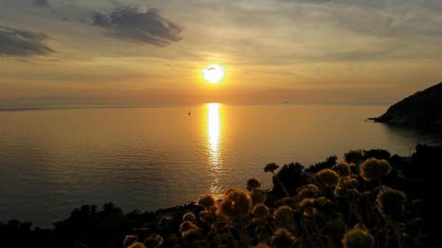 a sunset over a body of water with the sun setting at Hotel L'Ogliera in Pomonte
