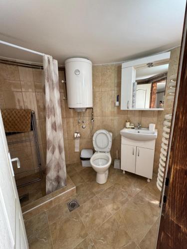 uma casa de banho com um WC, um chuveiro e um lavatório. em Vikendica Ozren em Soko Banja