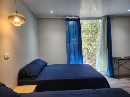 a bedroom with a bed and a window with blue curtains at Casavana in Comayagua