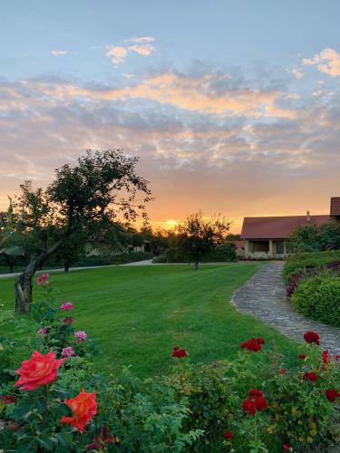 a field of flowers with a house in the background at BÉNI family wine farm in Cegléd