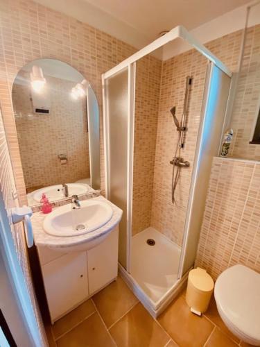 une salle de bain avec une douche, un lavabo et des toilettes dans l'établissement Gîtes de la villa du pin, à Ruoms