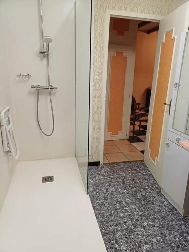 La salle de bains est pourvue d'une douche à l'italienne. dans l'établissement Maison de la colline de pam, à Cornimont