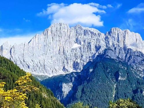 a large mountain range with trees in front of it at Antico Borgo Palue in Sottoguda