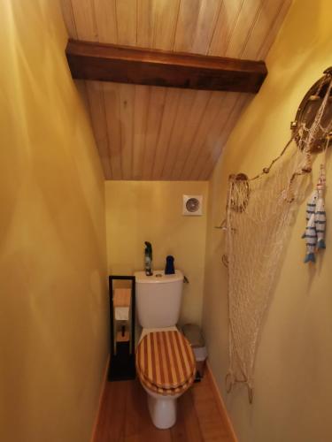 La salle de bains est pourvue de toilettes et d'un plafond en bois. dans l'établissement Gite Atelier Montignac // Piscine à débordement, à Montignac