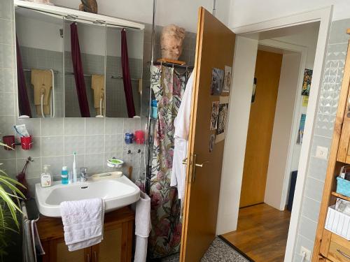 ein Bad mit einem Waschbecken und einem Spiegel in der Unterkunft Nördlingen im Ries - Königsbergerstr. - kleines Gästezimmerchen in Nördlingen