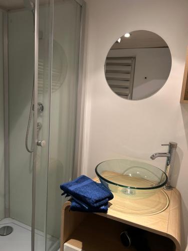 La salle de bains est pourvue d'un lavabo en verre et d'une douche. dans l'établissement Grand Place Roubaix Appartement Style Loft, à Roubaix