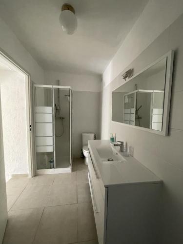 une salle de bain blanche avec une douche et un lavabo dans l'établissement Les gîtes d'Ostriconi - Villa Ogliastro, à Palasca