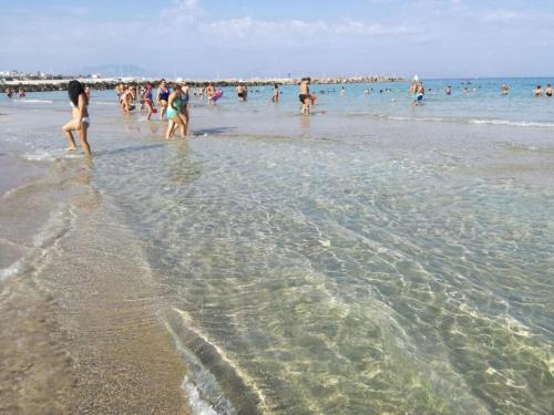 Φυσικό τοπίο κοντά σε αυτό το διαμέρισμα