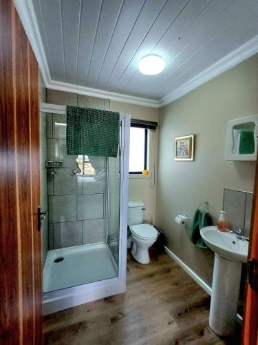 a bathroom with a shower and a toilet and a sink at Sonvanger Selfcatering in Orania
