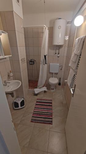a bathroom with a shower and a toilet and a sink at Green Garden Group Accommodation in Osijek