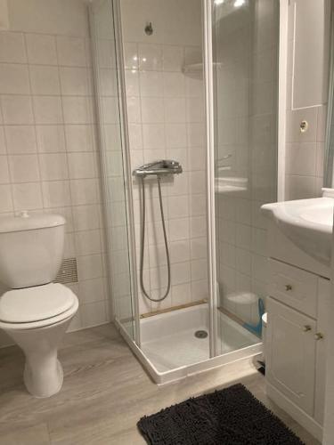 une salle de bain avec une douche, des toilettes et un lavabo dans l'établissement L'hibiscus maison 4 personnes, à Dolus-d'Oléron