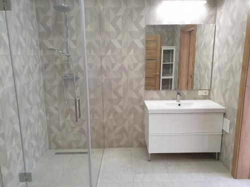 uma casa de banho com um chuveiro, um lavatório e um espelho. em Crow's nest em Grobiņa