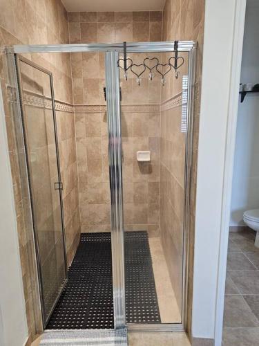 a shower with a glass door in a bathroom at D&N Property Rental in Miami