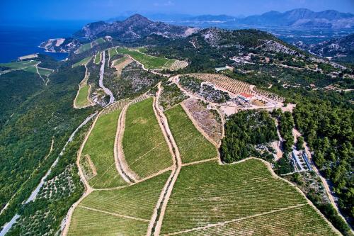 an aerial view of the ruins of the incan trail on the mountain at Winery Rizman B&B in Slivno Ravno