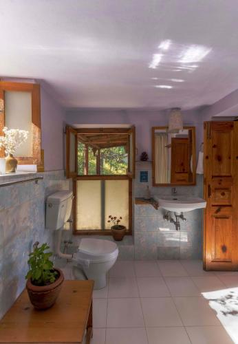 a bathroom with a toilet and a sink and a window at Snow View Cottage Kasardevi in Almora