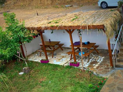 Zahrada ubytování Gökçeada Uğurlu Apart