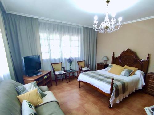 um quarto com uma cama, uma televisão e um sofá em ALTO DA TORRE em Ilha de Arousa