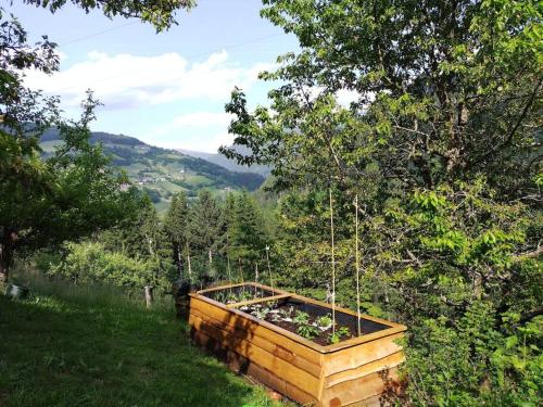 a wooden box with plants in it on a hill at FW Schnuckel in 300a Altem Bergbauernhaus 1110m in Plessnitz