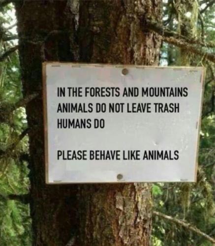 a sign on the side of a tree at FW Schnuckel in 300a Altem Bergbauernhaus 1110m in Plessnitz