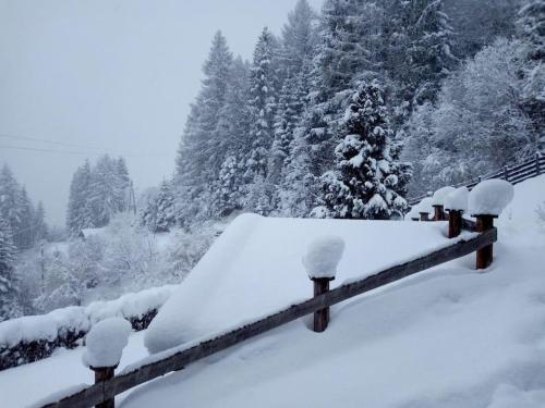 a snow covered bench with snow covered trees in the background at FW Schnuckel in 300a Altem Bergbauernhaus 1110m in Plessnitz