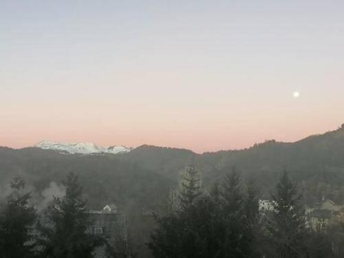 Photo de la galerie de l'établissement VILLA DES HETRES, à Saint-Nectaire