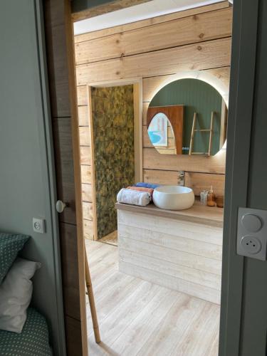 La salle de bains est pourvue d'un lavabo et d'un miroir. dans l'établissement Atipyk'ododo, à Saint-James