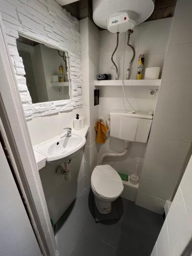 ein kleines Bad mit WC und Waschbecken in der Unterkunft ul. Mała 18/2 in Częstochowa