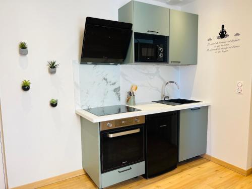 une cuisine avec un évier et un micro-ondes dans l'établissement Le Cocon Studio Auxerre Centre, à Auxerre