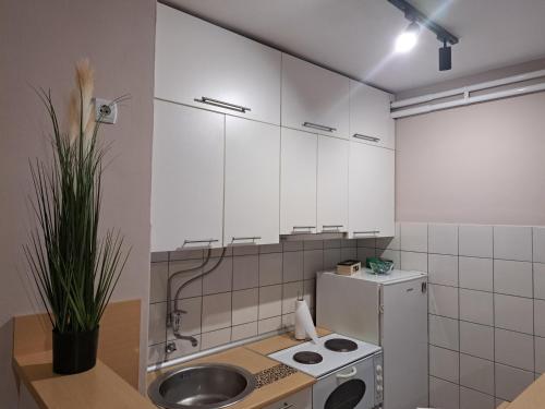 een keuken met witte kasten, een wastafel en een koelkast bij Apartman Marger in Niš