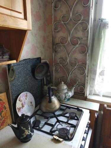 Dapur atau dapur kecil di BUDroom