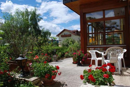 Zahrada ubytování Pension Agnes