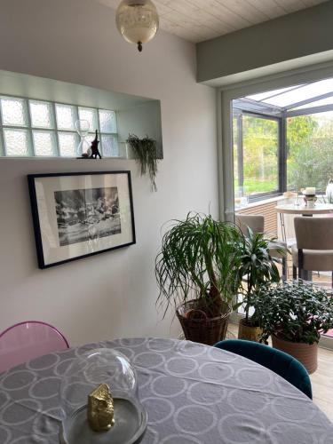 a dining room with a table and potted plants at Atipyk'ododo in Saint-James