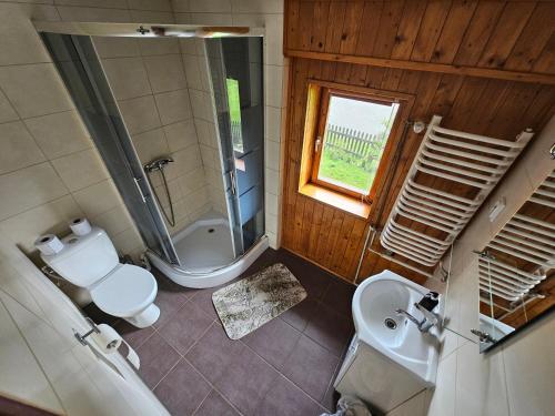 a bathroom with a toilet and a shower and a sink at Osmelakowa Dolina in Spalona