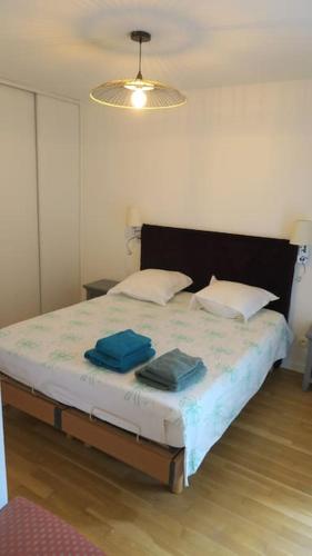 une chambre avec un lit avec deux serviettes bleues dessus dans l'établissement Appartement confortable calme avec terrasse proche métro - accueil personnel, à Lyon