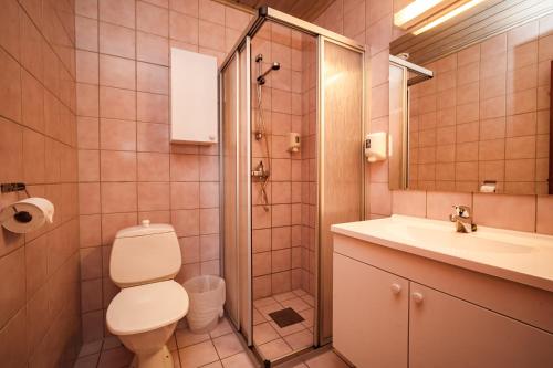 a bathroom with a toilet and a sink and a shower at Fanitullen Apartments in Hemsedal