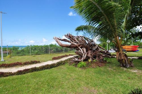 a palm tree in a park next to a sidewalk at Cote d'Or Footprints in Baie Sainte Anne