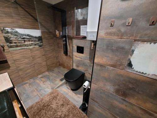 a bathroom with a shower with a toilet and a sink at Penzion U Elišky in Liberec