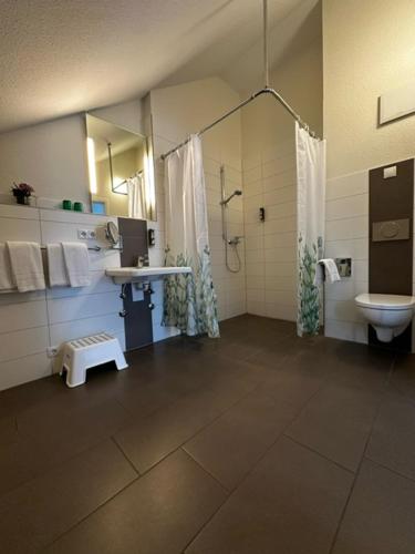 y baño con ducha, lavabo y aseo. en Gästehaus GN8, en Rielasingen-Worblingen
