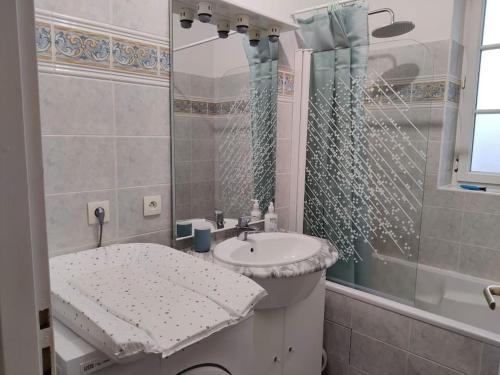 une salle de bain avec un lavabo et une douche dans l'établissement Appartement familial lumineux, à La Rudelière