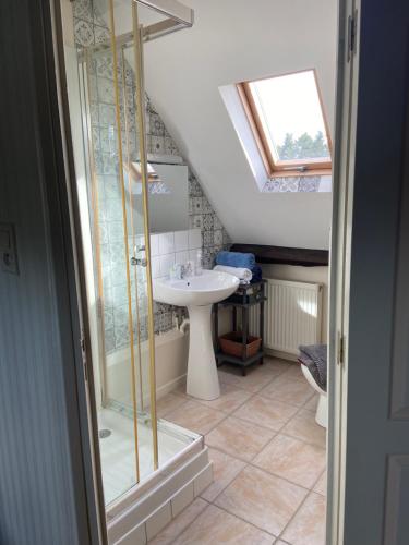 a bathroom with a shower and a sink at Atipyk'ododo in Saint-James