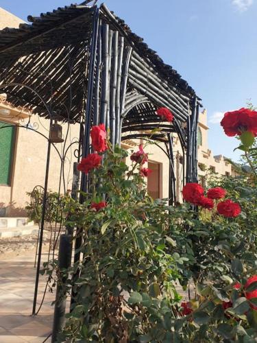 Riad Elaissiにある庭