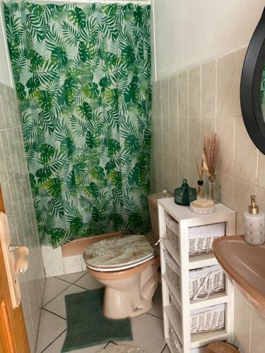baño con aseo y cortina de ducha verde en Chambre dans maison proche Disneyland Paris, en Brie-Comte-Robert