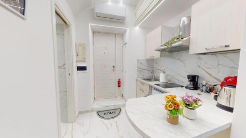 Vesuvius Home