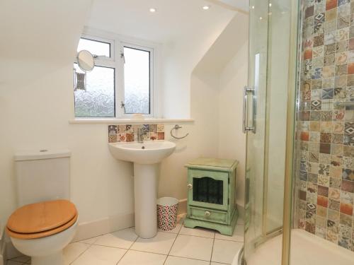 a bathroom with a toilet and a sink and a shower at Poppy Cottage in Beaminster