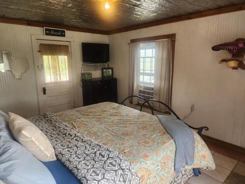 ein Schlafzimmer mit einem Bett und einem TV an der Wand in der Unterkunft Cabin in the Woods under the Stars with HOT TUB in Bandera