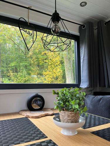Gambar di galeri bagi SeaSide Tiny House Hameln di Salzhemmendorf