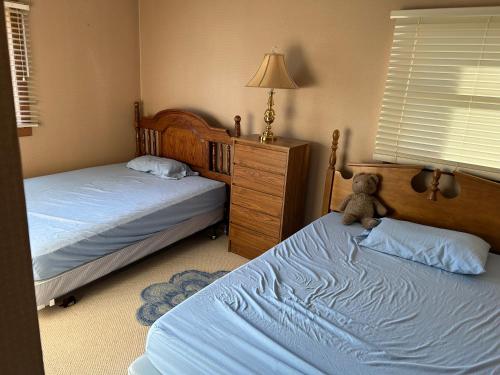 un osito de peluche sentado en dos camas en un dormitorio en Holiday House, en Mankato