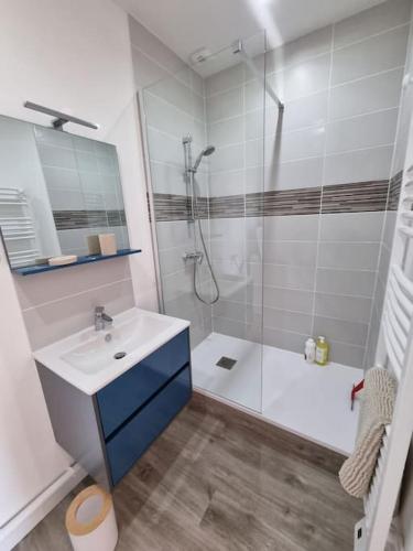 une salle de bain avec une douche, un lavabo et un miroir dans l'établissement Appartement centre d'Orléans en bord de Loire, à Orléans
