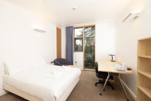 um quarto com uma cama, uma secretária e uma janela em Stephen Hawking Building Gonville and Caius College em Cambridge