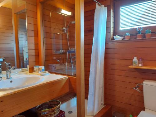 uma casa de banho com um lavatório, um chuveiro e um WC. em Le chalet sur la dune em Plouguerneau